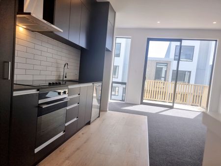 3 Kamahi Place, Paraparaumu Wellington 5032 - Photo 4