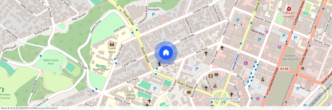 113B York Place, Dunedin