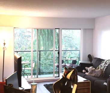 $1,950 / 1br – 589ft2 – Welcome to your new home in beautiful New W... - Photo 1