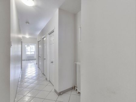 For Lease - 1652 Dufferin Street Unit# Main, Toronto, Ontario - Photo 5