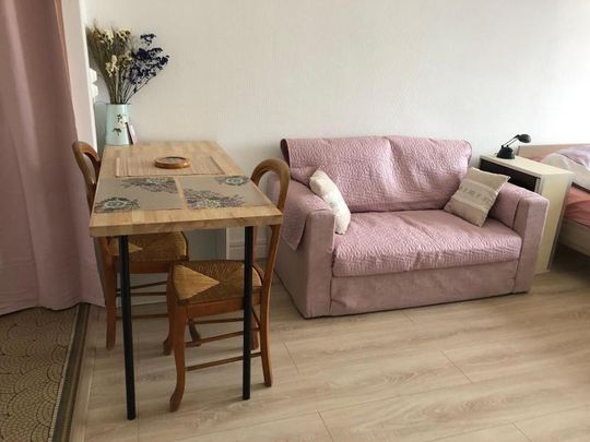 Appartement 1 pièce de 28 - Photo 1