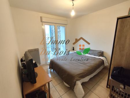 Location Appartement 2 pièces 33m² CHAVANAY 42410 - Photo 3