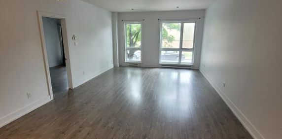 Large bright one bedroom in Pointe St.Charles - Photo 2