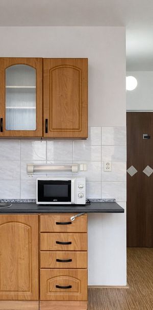 Pronájem bytu 1+1 35 m² - Photo 1