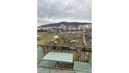 3½ Zimmer-Wohnung in Zürich, möbliert, auf Zeit - Foto 4