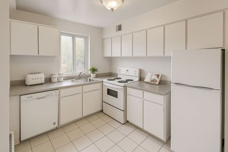 255 Stewart Street, Sandy Hill, Ottawa, ON - Photo 3