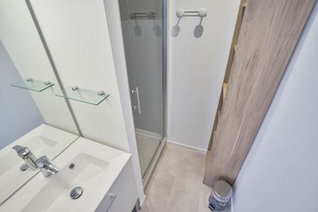 JEANNE D'ARC Roommate 4 Bedrooms at Nancy - Photo 5
