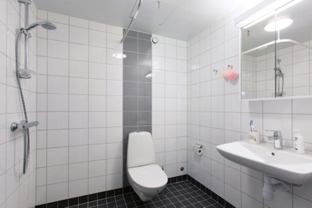 Lilla Varvsgatan 39E, Västra Hamnen - Photo 4