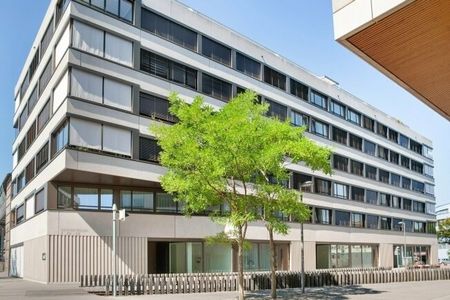 Two private terraces in the middle of Lucerne - Photo 5