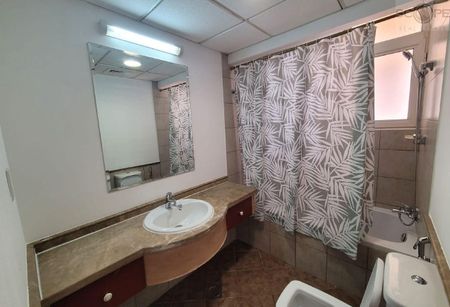 715Sqft | Brand New Furniture | European | Canal - Photo 4