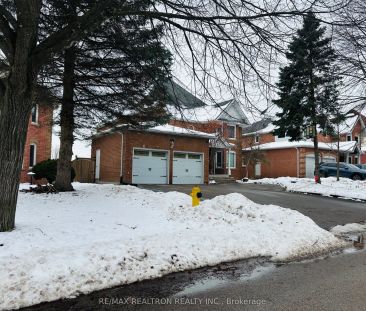 19 Grovepark Street #Basement - Photo 2
