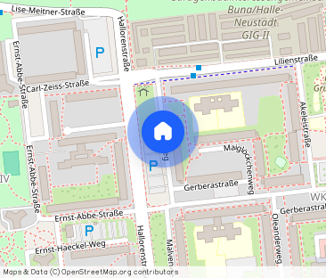 2-Raum-Wohnung im Blumenviertel - Foto 1