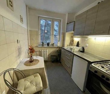 Widok Na Morze Winda Długi Termin Zwierzęta Sopot - Photo 3