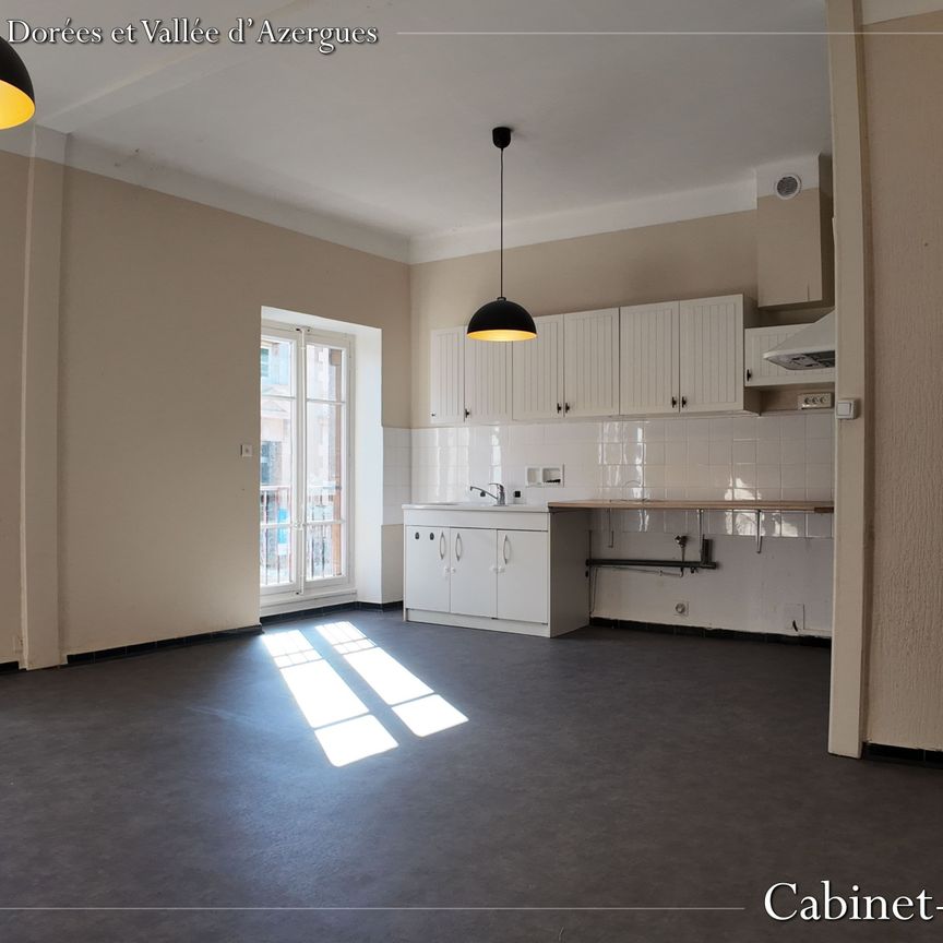 Location Appartement 3 pièces 66m² CHESSY 69380 - Photo 1