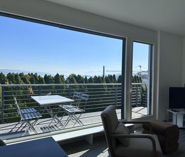 Beautiful Furnished Private Apartment in Thalwil (limited till 31.1... - Photo 6