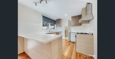 Space For The Whole Family! - Photo 4