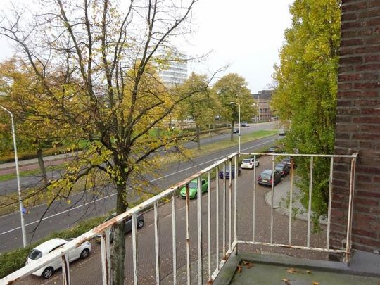 Karel de grotelaan - Foto 1