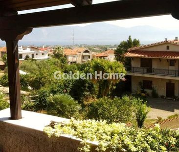 Μονοκατοικία για ενοικίαση Καμάρες (Ερίνεο) - Φωτογραφία 2