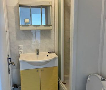 Appartement 1 pièce à Lille - Photo 4