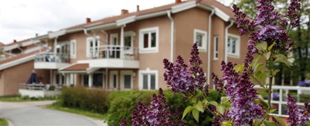 Dirigentvägen 66 - Foto 4