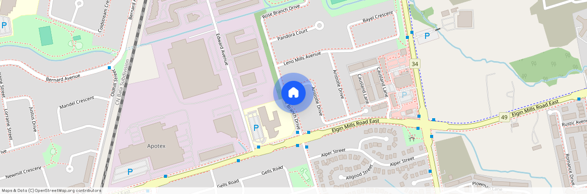 39 Rose Branch Drive, Richmond Hill