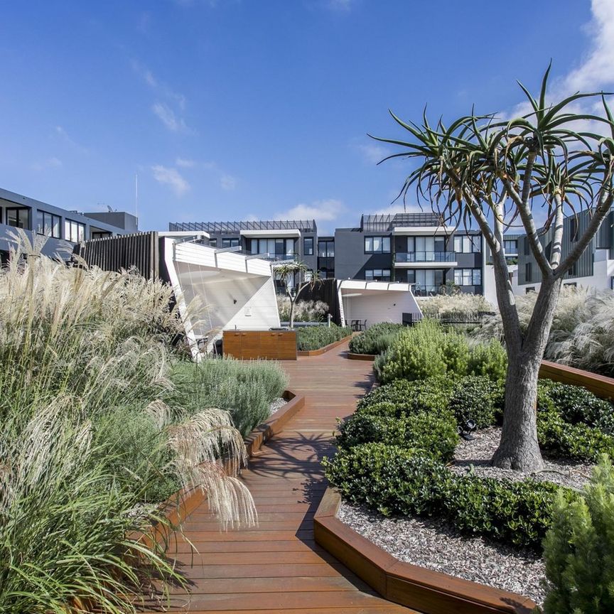 503E/72 MacDonald Street, Erskineville NSW 2043 - Apartment For Rent | Domain - Photo 1