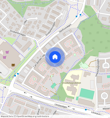 Carl Bondes väg **, Villastaden