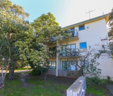 One Bedroom apartment located in the heart of Glen Iris. - Photo 6