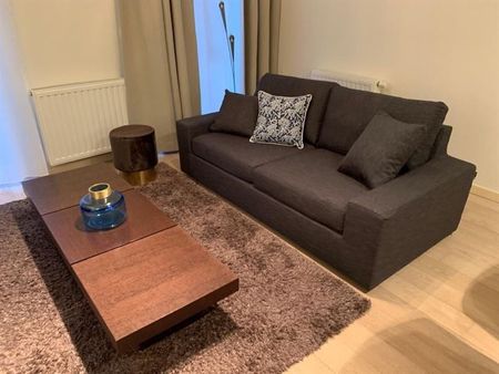 Parc Botanique! BEL APPARTEMENT MEUBLE 1 chambre + terrasse - Foto 2