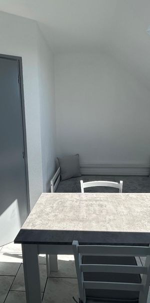 Location Appartement 1 pièce 15m² CHALON SUR SAONE 71100 - Photo 1