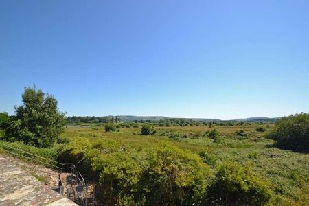 Coldwaltham, West Sussex, RH20 - Photo 5