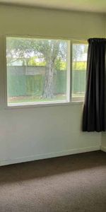 Sunny, cozy unit, ready for new tenants to call home - Photo 3