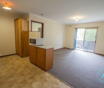 APARTMENT FOR RENT IN MOSMAN PARK - Photo 5