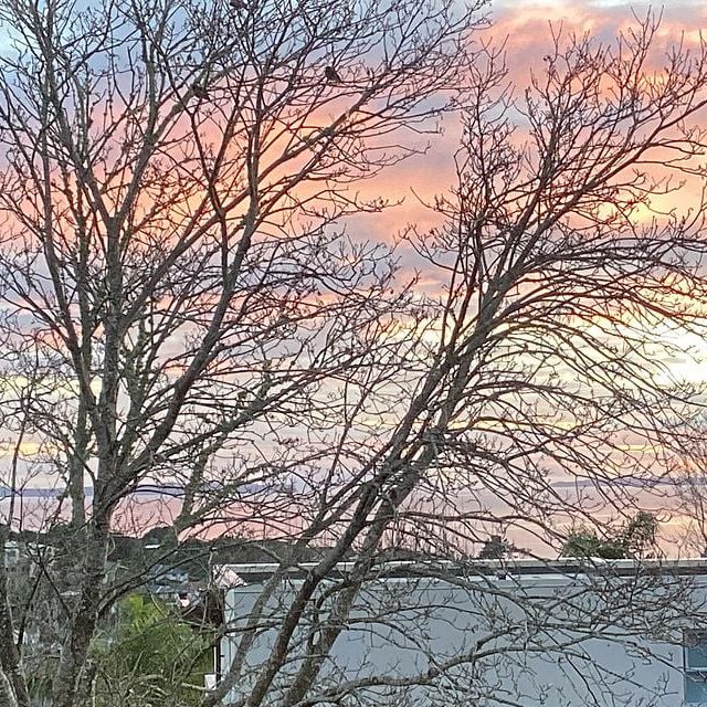 Stunning 4 bedroom flat in the Castor Bay - Photo 1