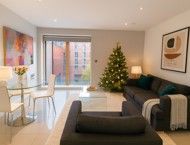 Apt 4.05 :: Ice Plant - Photo 1