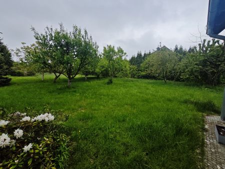 Mieszkanie na wynajem - Zdjęcie 4