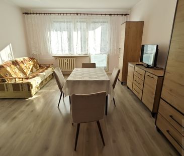 Kijewo - wynajem, 1 pok. 35m2, I piętro, balkon (437048) - Photo 4