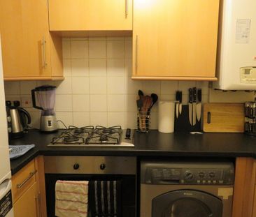 Paradise Road - Photo 3