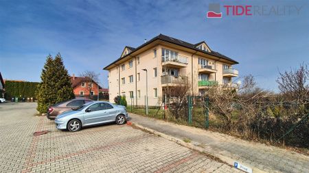 Apartment for rent, 1+1 - Studio, 52m - Фото 5