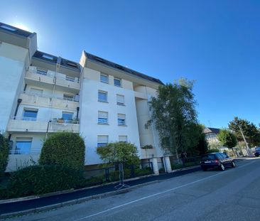 Location Appartement 2 pièces 44m² ST LOUIS 68300 - Photo 4