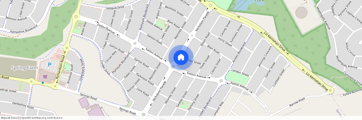 2A Newman Street, NSW 2570, Spring Farm