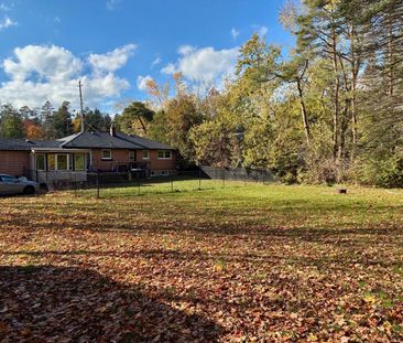 For Lease - 1207 Bayfield Street Unit# MAIN, Springwater, Ontario - Photo 5