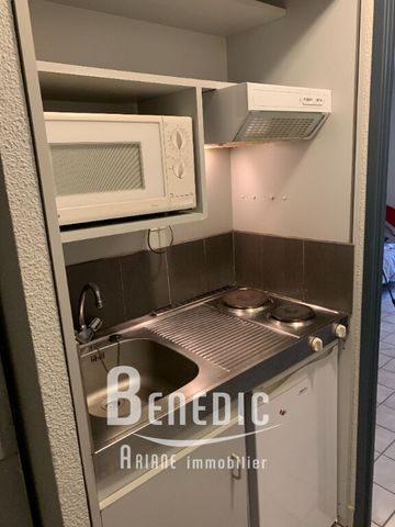 Location Appartement 1 pièce 18m² - Photo 3