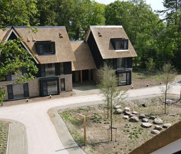 Farensbach Hof 6 - Photo 4