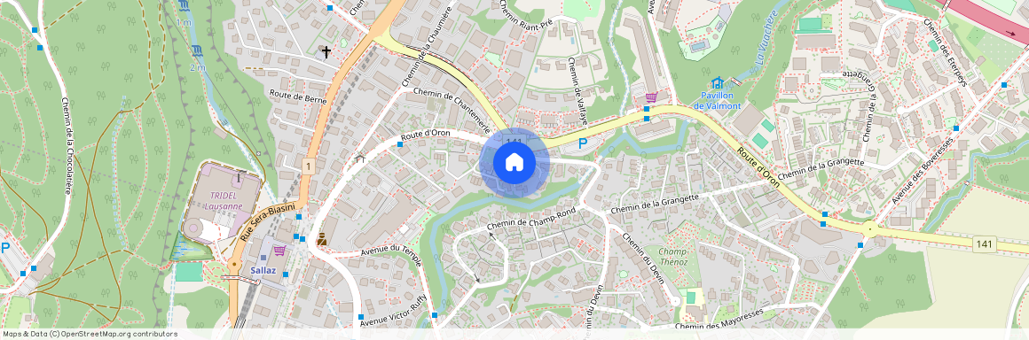 Chemin de Champ-Rond 61, 1010 LAUSANNE