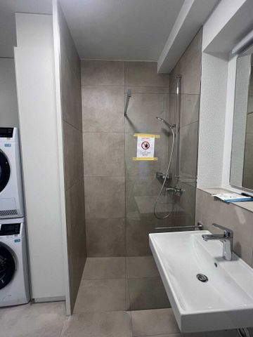 Exklusive 2.5-Zimmer-Duplex, modernes Design in Stein AG - Photo 3