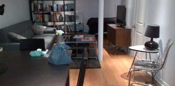 Bright Fully Renovated Clean Studio Basement Apartment - Photo 2