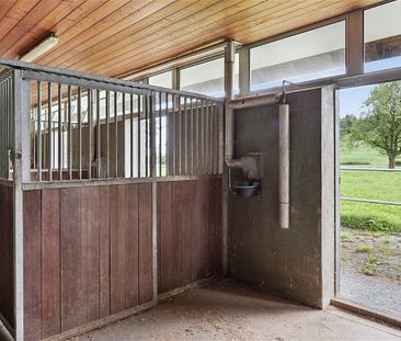 Seltenes Angebot zur Miete: idyllisches Bauernhaus mit Pferdestall - Foto 6