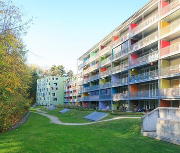 Appartement 4.5 pces au c?ur de Fribourg ! - Photo 5