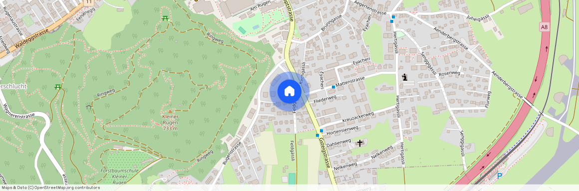 3800, Matten bei Interlaken, Feldgässli, 18